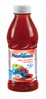 drink with blueberries and cranberries Hamánek
